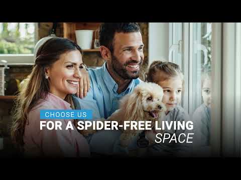 Top Rated Spider Control Company in Mesa, Arizona | Varsity Termite &amp; Pest Control