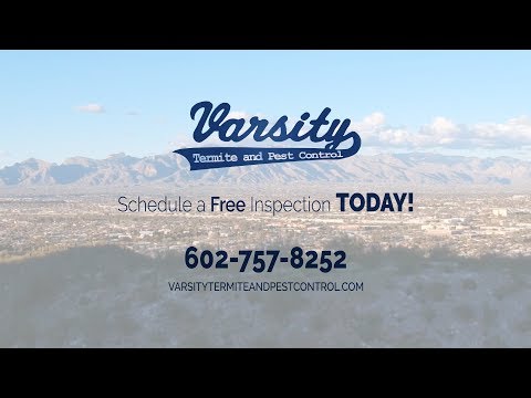 Pest Control Services in Arizona | Varsity Termite &amp; Pest Control