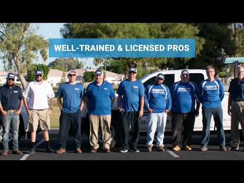 Top Rated Pest Control Company in Glendale, Arizona | Varsity Termite &amp; Pest Control