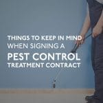 Pest Control Treatment