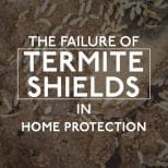 White Termites AZ