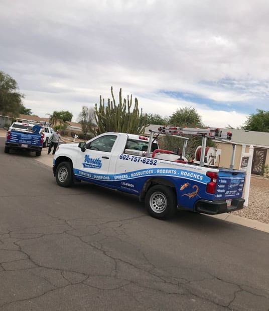 Termite Control Arizona 