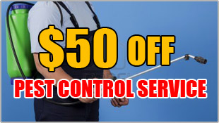 50% off Pest Control Service