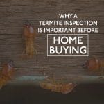 Termite Inspection