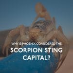 Scorpion Sting