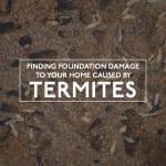 AZ Termite Damage