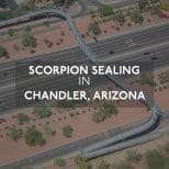 Motorway Scorpion Chandler, AZ