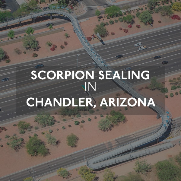 Motorway Scorpion Chandler, AZ