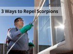 3 Ways to Repel Scorpions - Varsity Termite and Pest Control