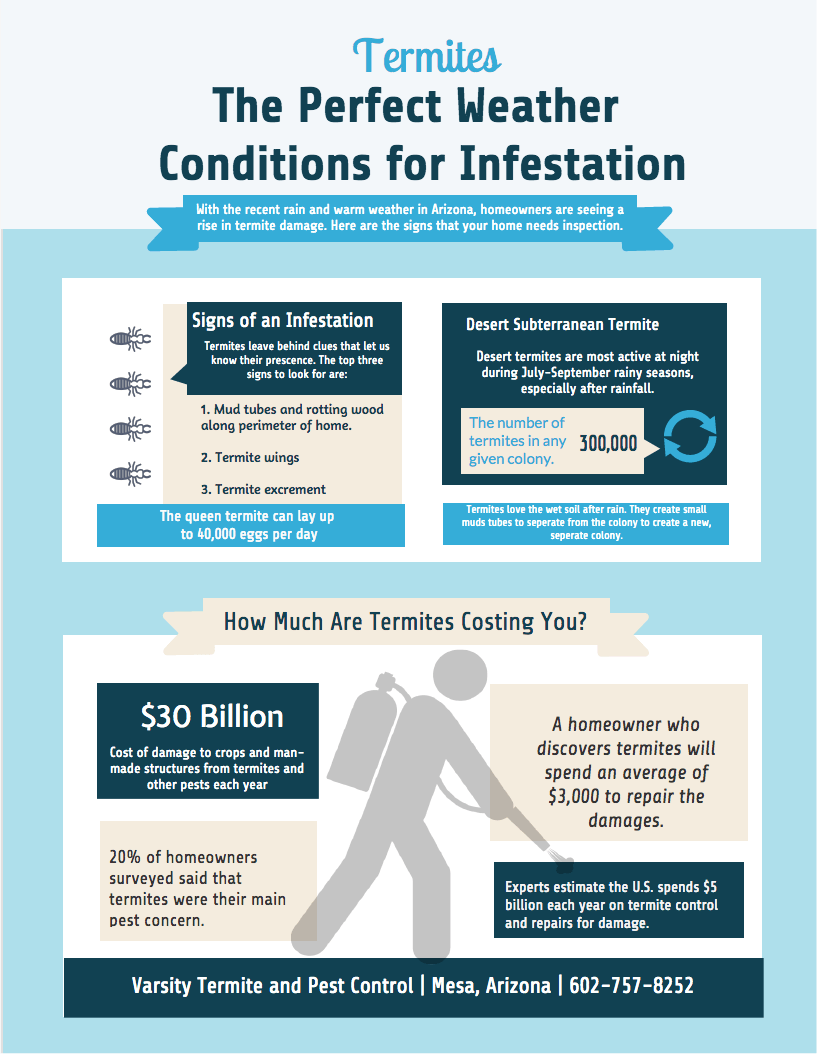 Infographic: Warning signs for termite infestation.