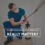 Professional Pest Services