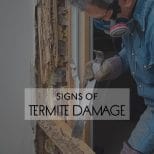 Signs of Termite Damage