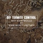 Termite Control