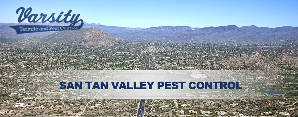 We provide top notch San Tan Pest Control Services!