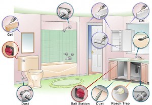 Placing cockroach bait stations in your Chandler home