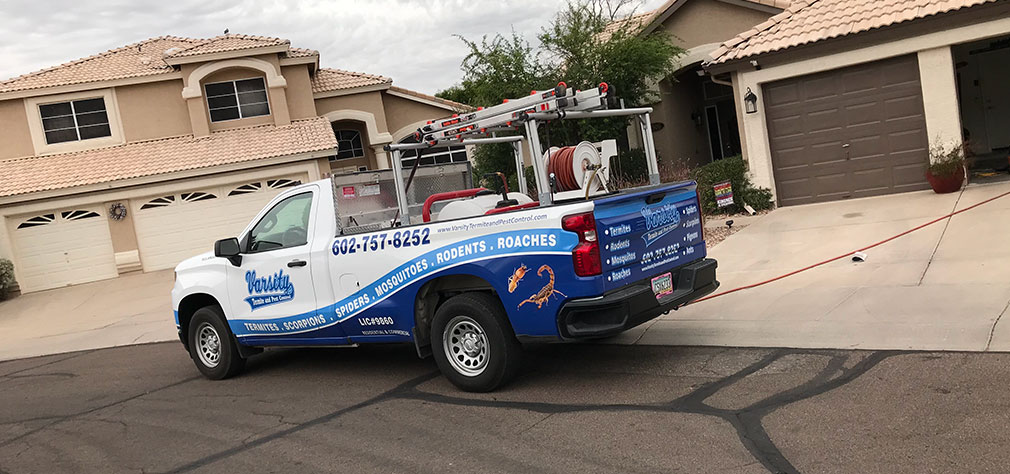 Expert Services For North Phoenix Termite Control & Treatment