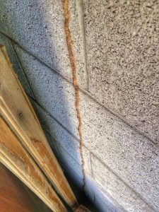 Our North Scottsdale Termite Treatment Services