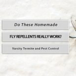 homemade fly repellents varsity