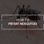 prevent mosquitoes varsity pest