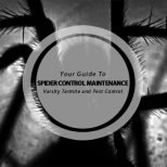 spider control maintenance