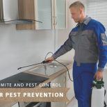 tips pest prevention