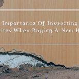 the importance of inspecting for termites when buying a new house