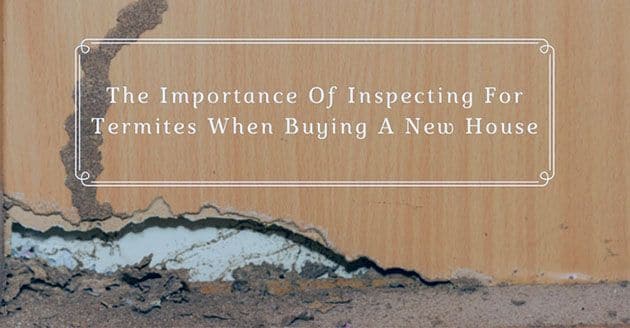 the importance of inspecting for termites when buying a new house