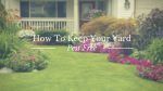 how to keep your yard pest free