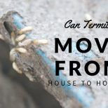 can termites move from house to house