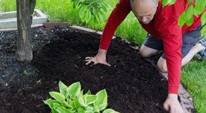 precent termites from keeping mulch further away from home