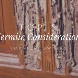 top 5 termite considerations for homeowners