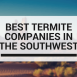 Termite Companies in The Southwest