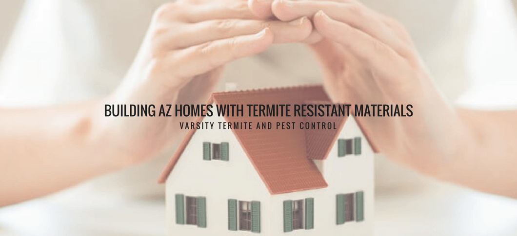 Building AZ Homes with Termite Resistant Materials