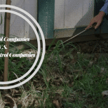 The difference between pest control companies and termite control companies