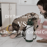 DIY termite control vs. hiring a termite pest control company