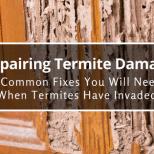 Repairing termite damage: 3 common fixes you will need when termites have invaded