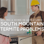 Buying a home in Ahwatukee: South Mountain termite problems