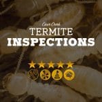 TermiteInspections in Cave Creek