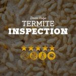 Termite Inspection