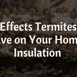 The Effects Termites on Homes Insulation