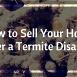 How to Sell Your Home after a Termite Disaster