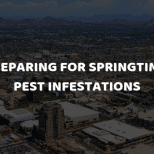 Phoenix Metro Area