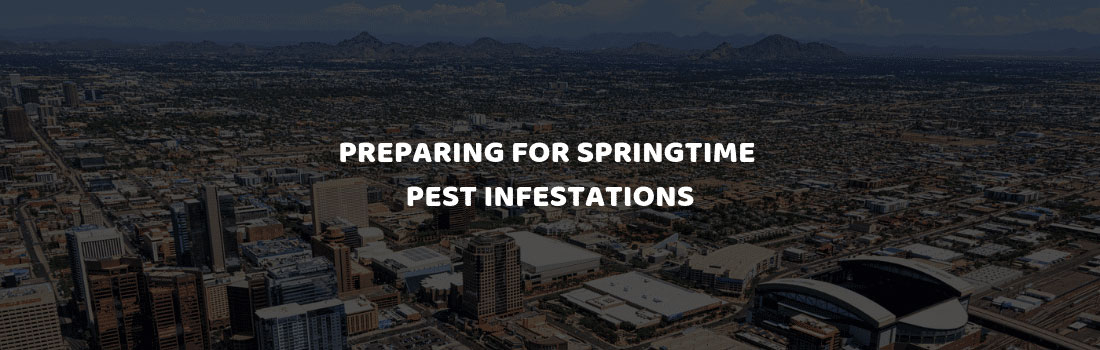 Phoenix Metro Area