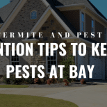 Pest Prevention