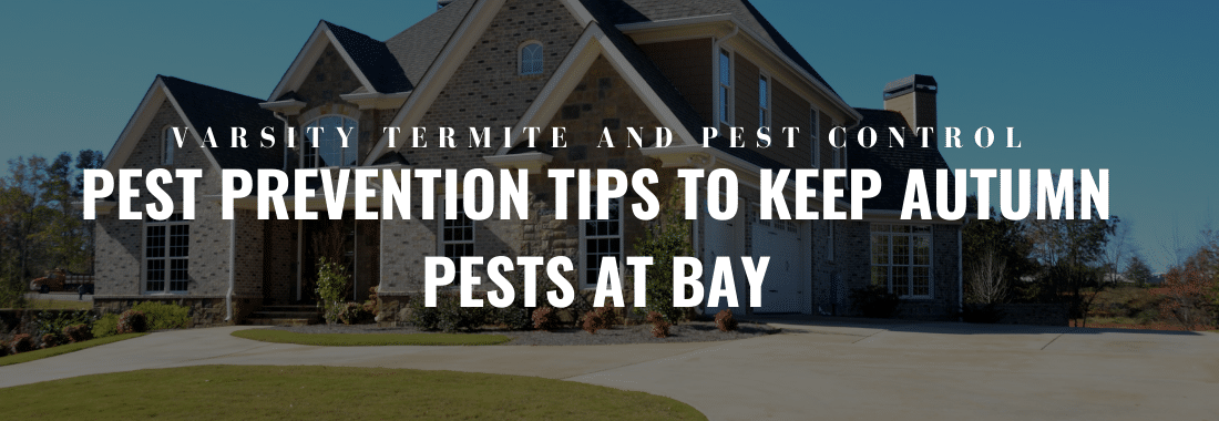 Pest Prevention