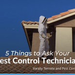 5 Things to Ask Your Pest Control Technician