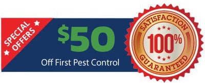 $50 off scorpion control, Mesa, Phoenix