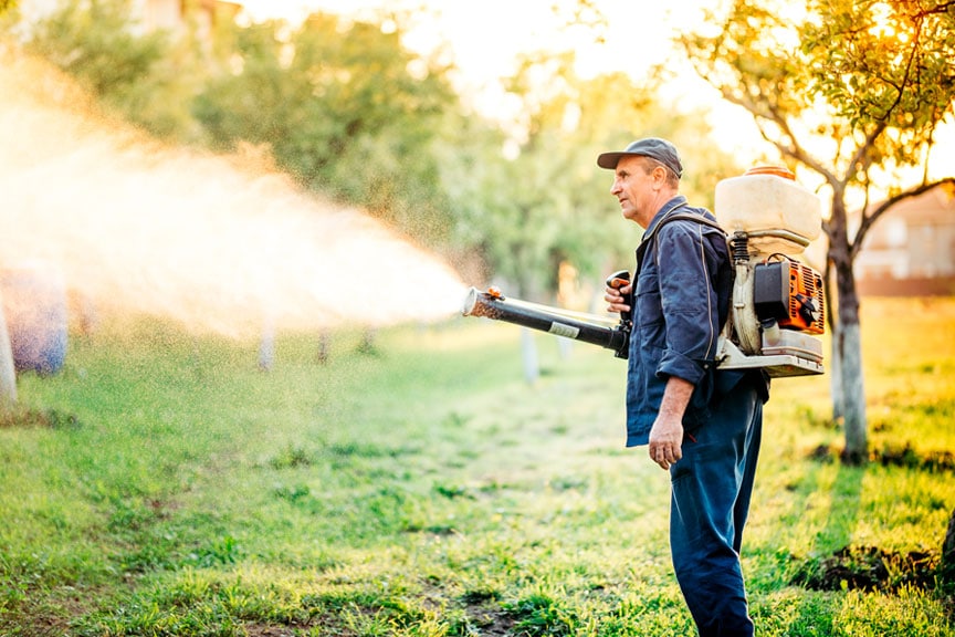 Eloy's Top Pest Control Company For Mosquitoes