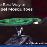 The Best Way to Repel Mosquitoes