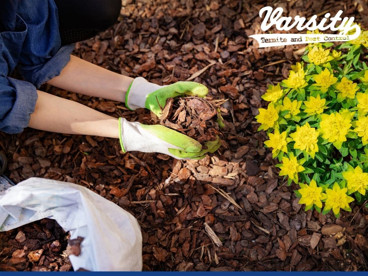 mulch garden 